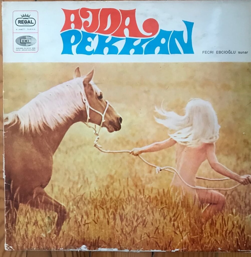Ajda Pekkan - Fecri Ebcioğlu Sunar / 1969 Dönem Baskı Plak Lp #ajdapekkan