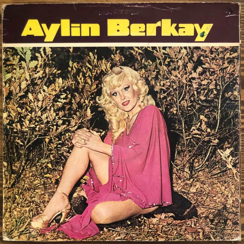 Aylin Berkay, Aylin Berkay Dönem Baskı Lp