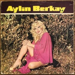 Aylin Berkay, Aylin Berkay Dönem Baskı Lp