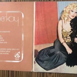 Aylin Berkay, Aylin Berkay Dönem Baskı Lp
