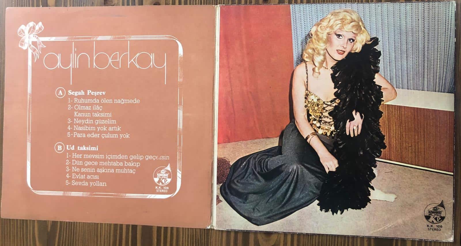 Aylin Berkay, Aylin Berkay Dönem Baskı Lp