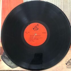 Aylin Berkay, Aylin Berkay Dönem Baskı Lp