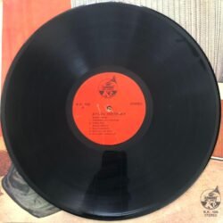 Aylin Berkay, Aylin Berkay Dönem Baskı Lp