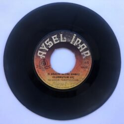 Aysel İpar / O Ağacın Altını Bilmem Anıyor Musun? - O Ağacın Altını Anmaz Olur Muyum Hiç / 45'lik plak