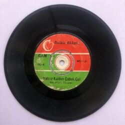 Belkıs Akkale - Diyarbakır dolar boşalır şimdi - Yalnız kaldım çabuk gel