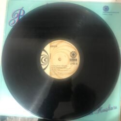 Biricik - Gurbet Kuşları Dönem Baskı LP