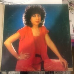 Biricik - Gurbet Kuşları Dönem Baskı LP