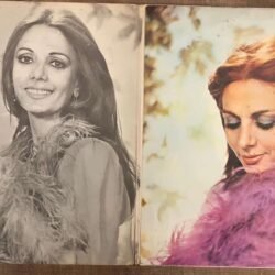 Can Etili - Ömrüm - LP / 33 Lük Plak (Dönem Baskı)