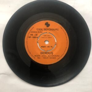 Erol Büyükburç - Berduş / Bir Başka Sevgiliyi Sevemem Sevemem 45'lik plak