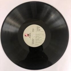 Erol Evgin – Yeni Bir Gün Doğarken Dönem Baskı Lp