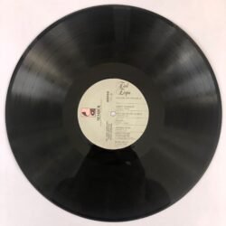 Erol Evgin – Yeni Bir Gün Doğarken Dönem Baskı Lp