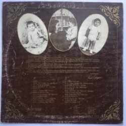 Ferdi Özbeğen – Seviyorum Delicesine Lp (Sadece Kapak )