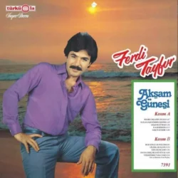 Ferdi Tayfur Akşam Güneşi Plak Türküola LP 