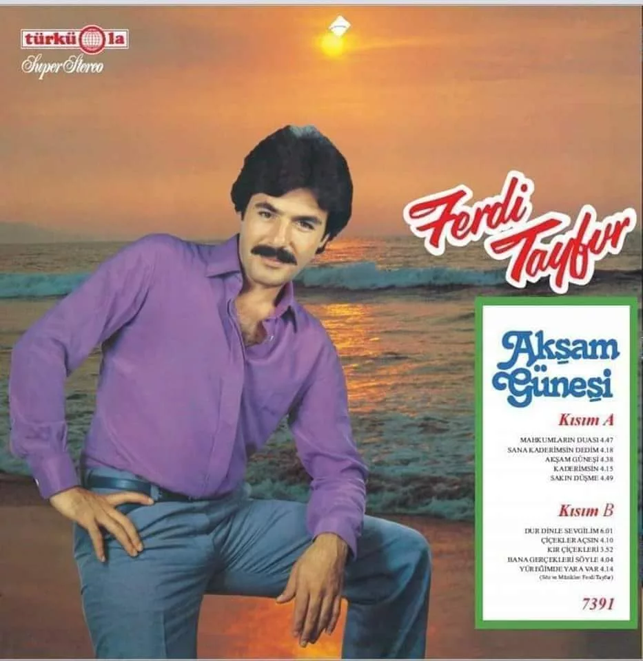 Ferdi Tayfur Akşam Güneşi Plak Türküola LP