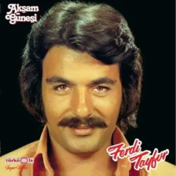Ferdi Tayfur Akşam Güneşi Plak Türküola LP 