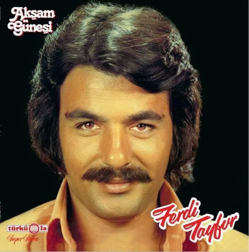 Ferdi Tayfur Akşam Güneşi Plak Türküola LP