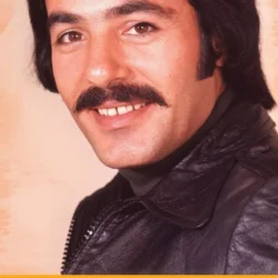Ferdi Tayfur Baharımsın Kışımsın Lp Plak