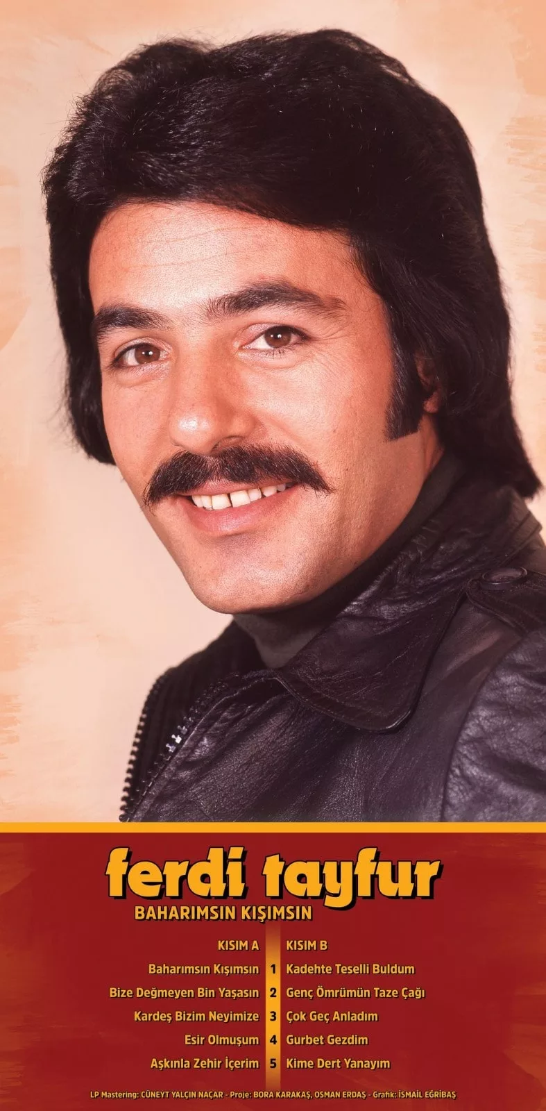 Ferdi Tayfur Baharımsın Kışımsın Lp Plak