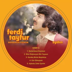 Ferdi Tayfur Baharımsın Kışımsın Lp Plak