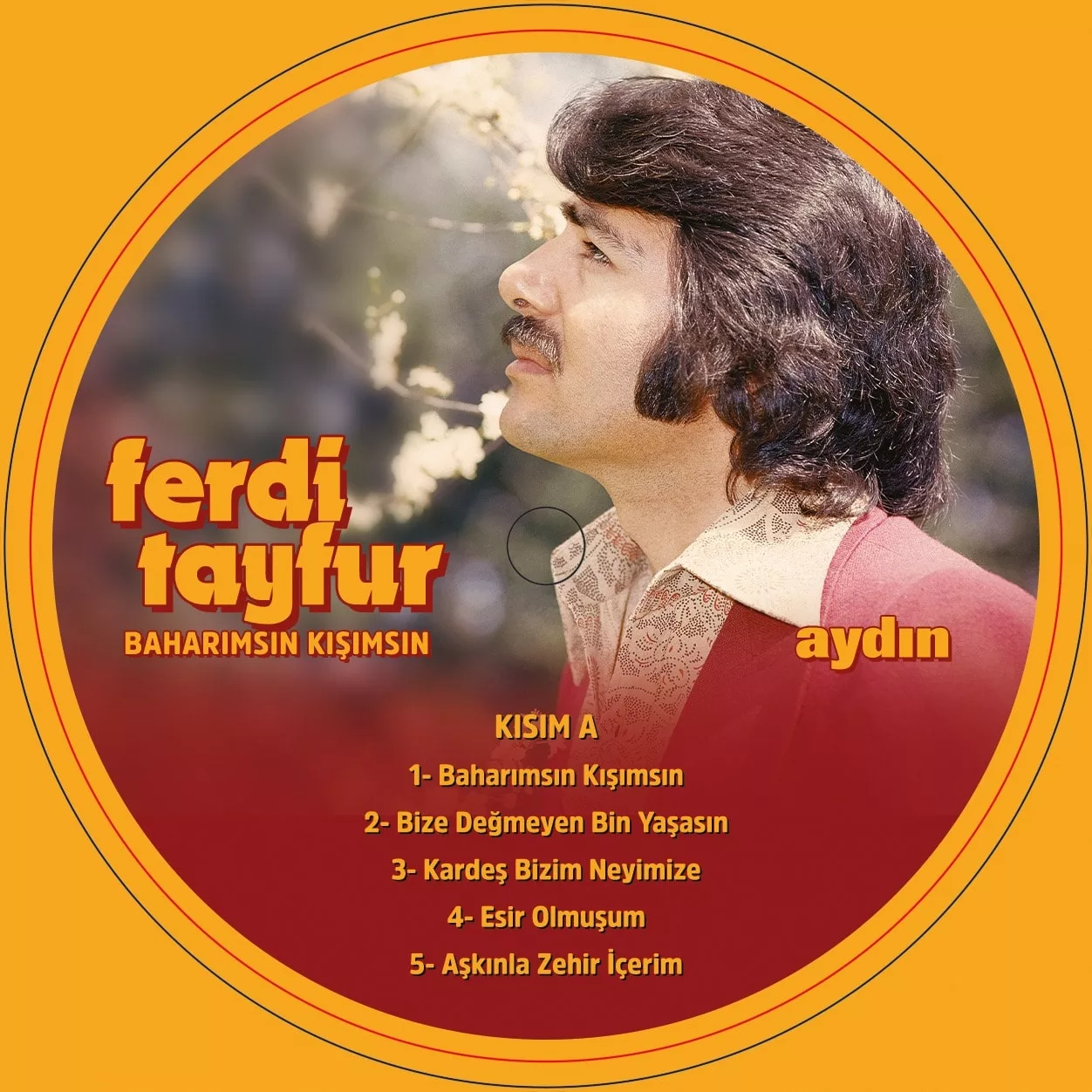 Ferdi Tayfur Baharımsın Kışımsın Lp Plak