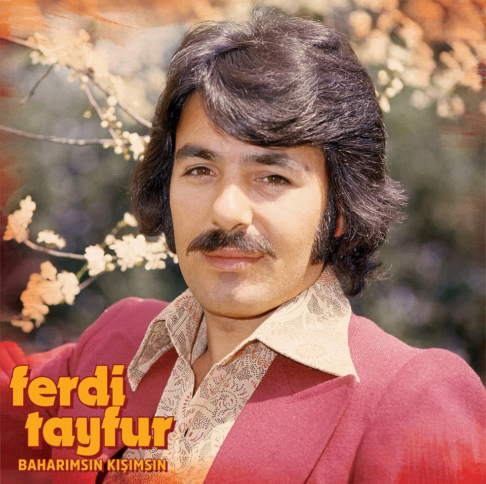 Ferdi Tayfur Baharımsın Kışımsın Lp Plak