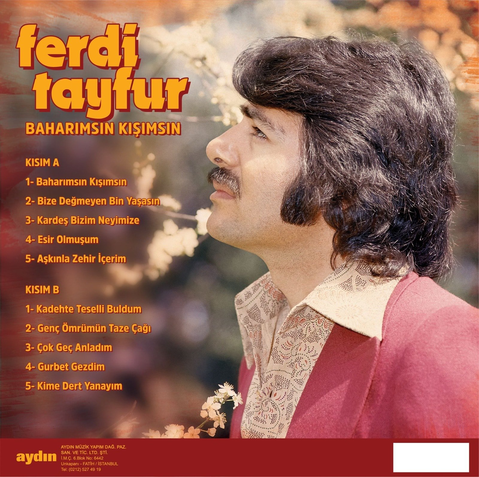 Ferdi Tayfur Baharımsın Kışımsın Lp Plak
