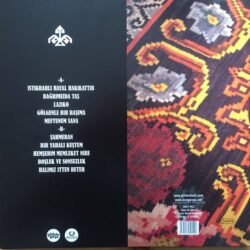 Gaye Su Akyol İstikrarlı Hayal Hakikattir Lp Plak