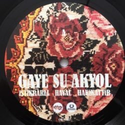 Gaye Su Akyol İstikrarlı Hayal Hakikattir Lp Plak