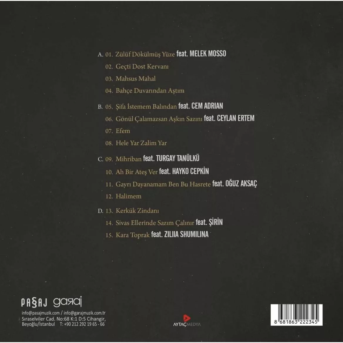 Haluk Levent Vasiyet Lp PLak