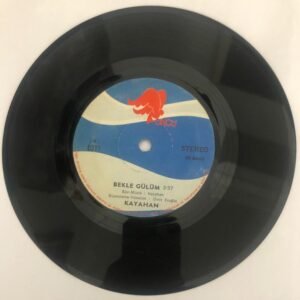 Kayahan – Bekle Gülüm / Ateş 45lik Plak