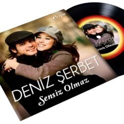 Kişiye Özel 33 lük Plak Doldurma