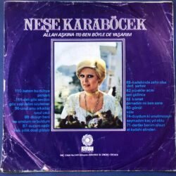 Neşe Karaböcek, Allah Aşkına, Ben Böyle de Yaşarım