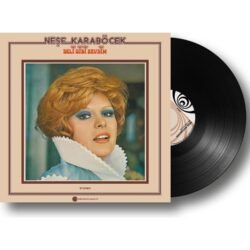 Neşe Karaböcek – Deli Gibi Sevdim Plak