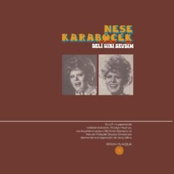 Neşe Karaböcek – Deli Gibi Sevdim Plak