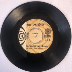 Neşe Karaböcek - Duydum ki Unutmuşsun / Sayamadım Kaç Yıl Oldu 45lik
