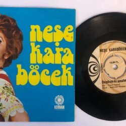 Neşe Karaböcek - Duydum ki Unutmuşsun / Sayamadım Kaç Yıl Oldu 45lik