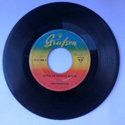 Neşe Karaböcek - Hayat ilk sevgiyle başlar / Dertsiz olsam içermiydim