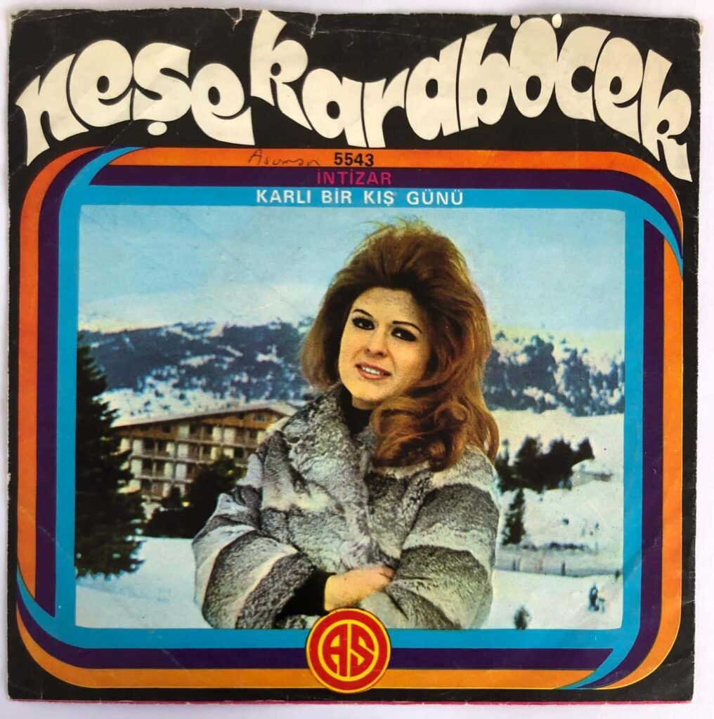 Neşe Karaböcek - İntizar / Karlı Bir Kış Günü