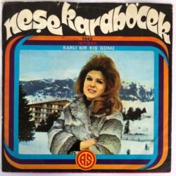 Neşe Karaböcek - İntizar / Karlı Bir Kış Günü