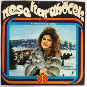 Neşe Karaböcek - İntizar / Karlı Bir Kış Günü