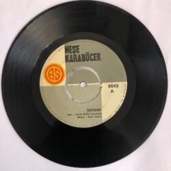Neşe Karaböcek - İntizar / Karlı Bir Kış Günü