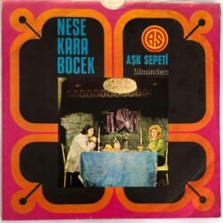 Neşe Karaböcek - İntizar / Karlı Bir Kış Günü
