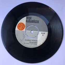 Neşe Karaböcek - Yorgun gönüller / Madem küstün dargındın / 45'lik plak