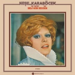 Neşe Karaböcek – Deli Gibi Sevdim Plak