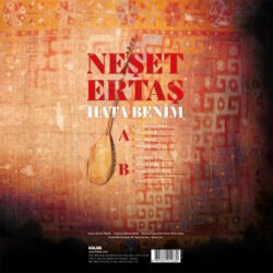 Neşet Ertaş Hata Benim Lp Plak