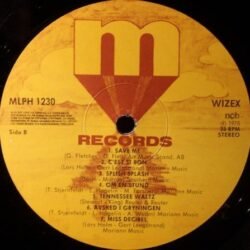 Wizex – Miss Decibel