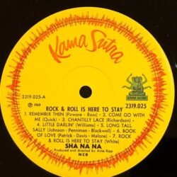 Sha Na Na – Rock And Roll Is Here To Stay
