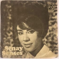 Şenay Şenses – Ormanci / Kara Ova Düğünü