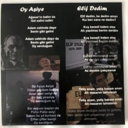 Seyfettin Tomakin Oy Asiye Elif Türküsü Plak