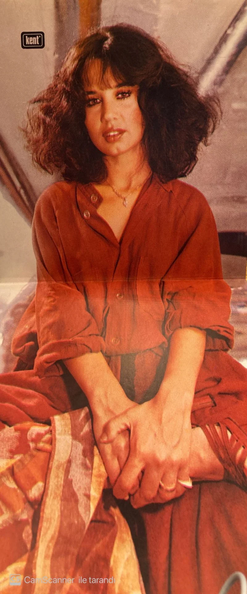 Sezen Aksu Serçe 1978 Lp Plak